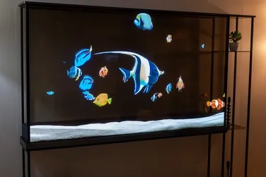 LG Transparent TV aquarium